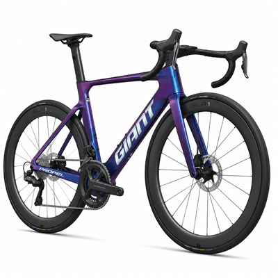 GIANT�̃��[�h�o�C�N���Â͂�����b�����������@�ƍw�����̒��ӓ_